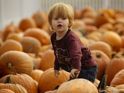 A young boy climbs through pumpkins at a pumpkin patch. (credit: JIM WATSON/AFP/Getty Images)