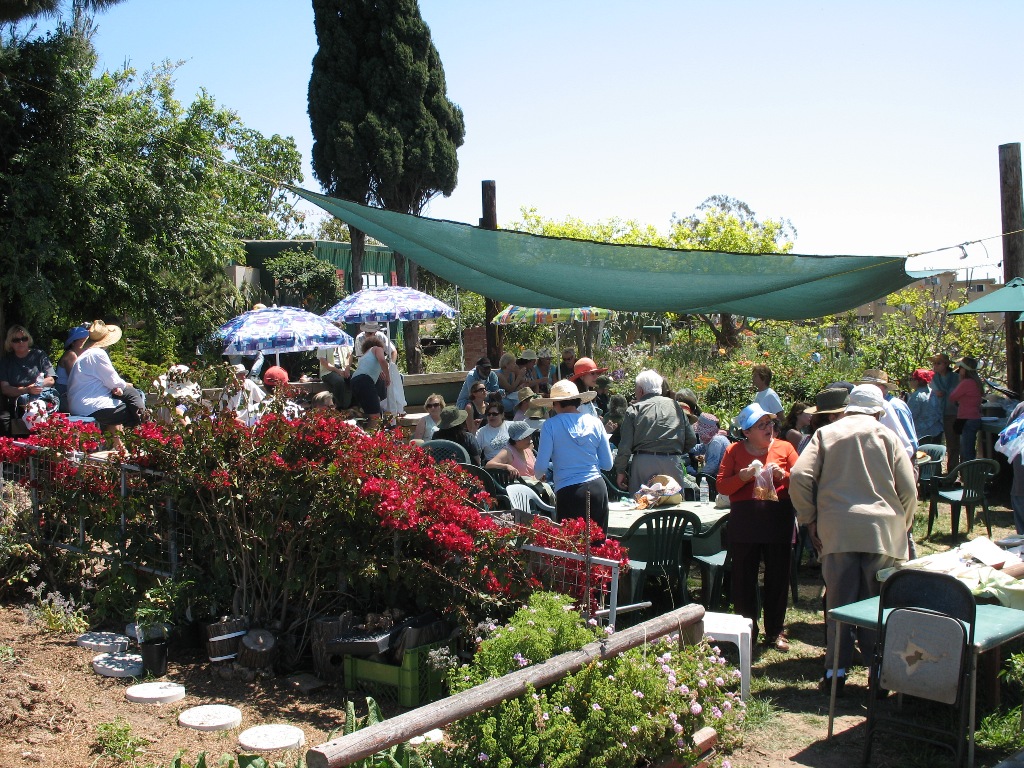 Top Community Gardens In Los Angeles Cbs Los Angeles