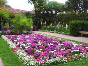 Best Botanical Gardens In Orange County Cbs Los Angeles