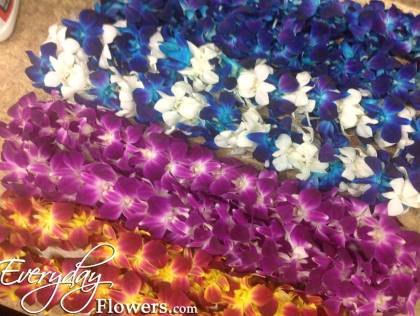 Where To A Graduation Lei In Oc
