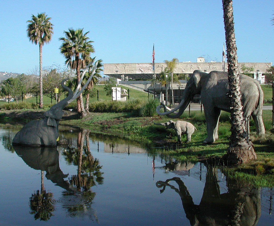(credit: Page Museum at the La Brea Tar Pits)