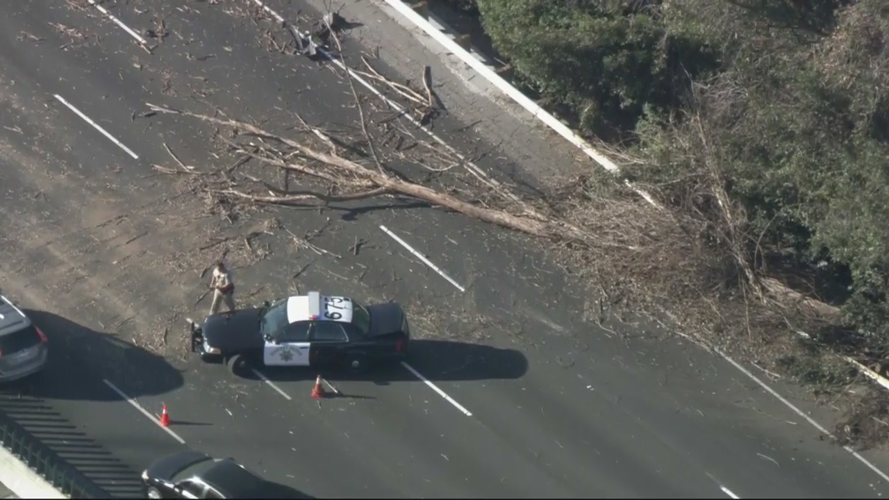 Tree down on 101 Freeway