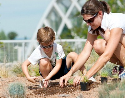 Top Gardening Classes In Denver Before Summer Cbs Denver
