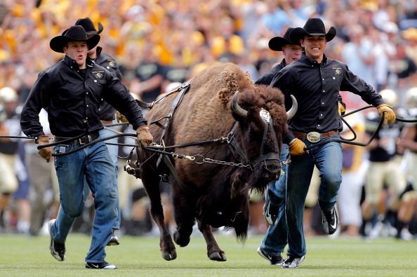 ‘Ralphie’ Handlers Decide Against Mascot Taking Field For Second Game