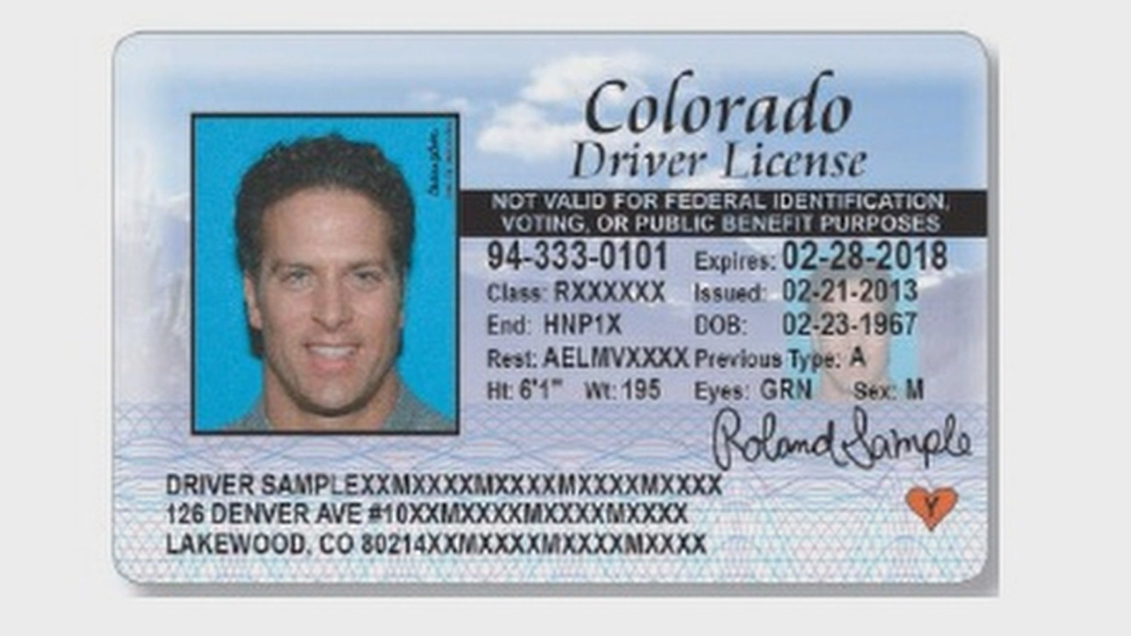 License Number Example
