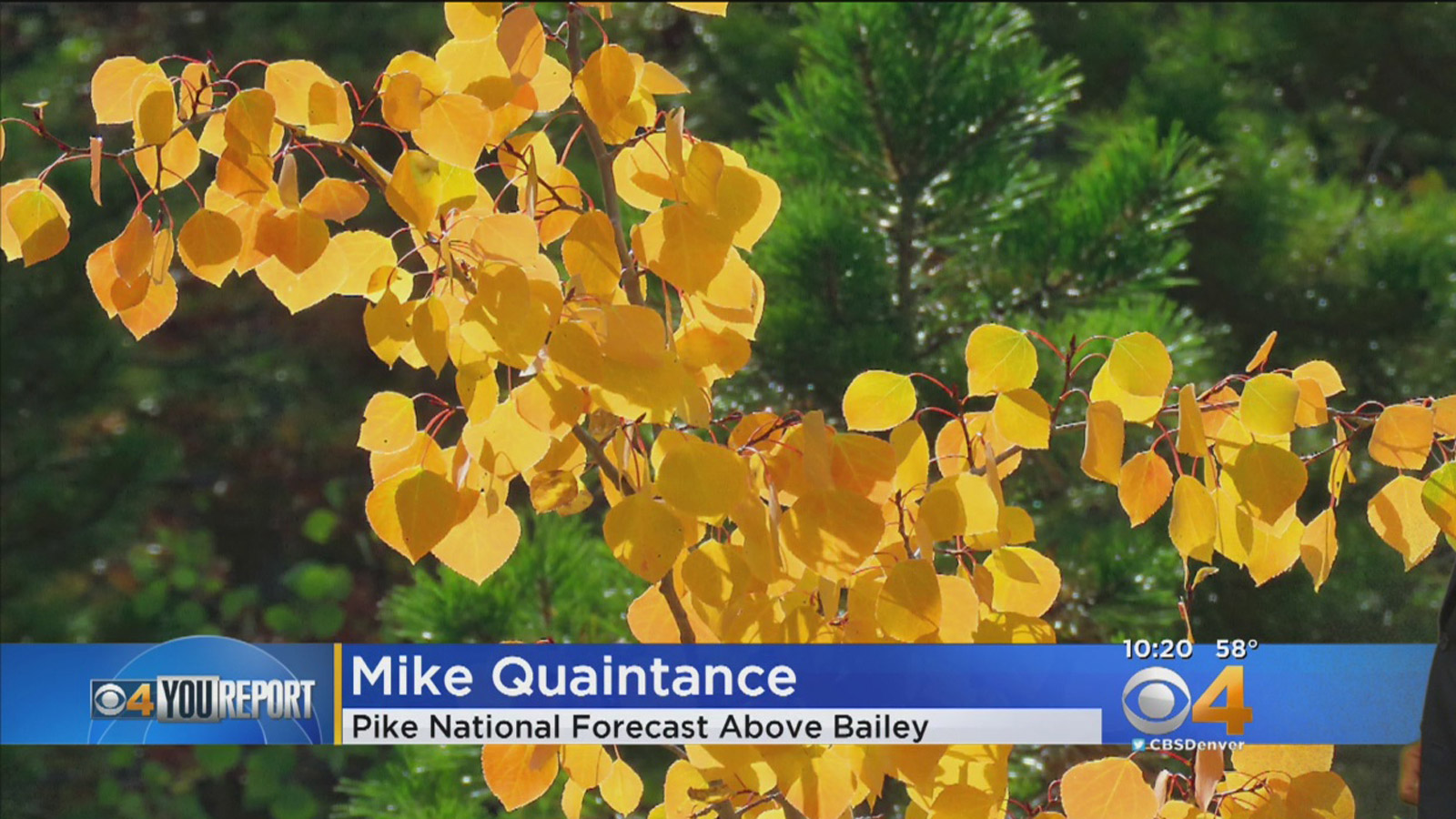 Colorado’s Fall Color Show Appears On Schedule – CBS Denver