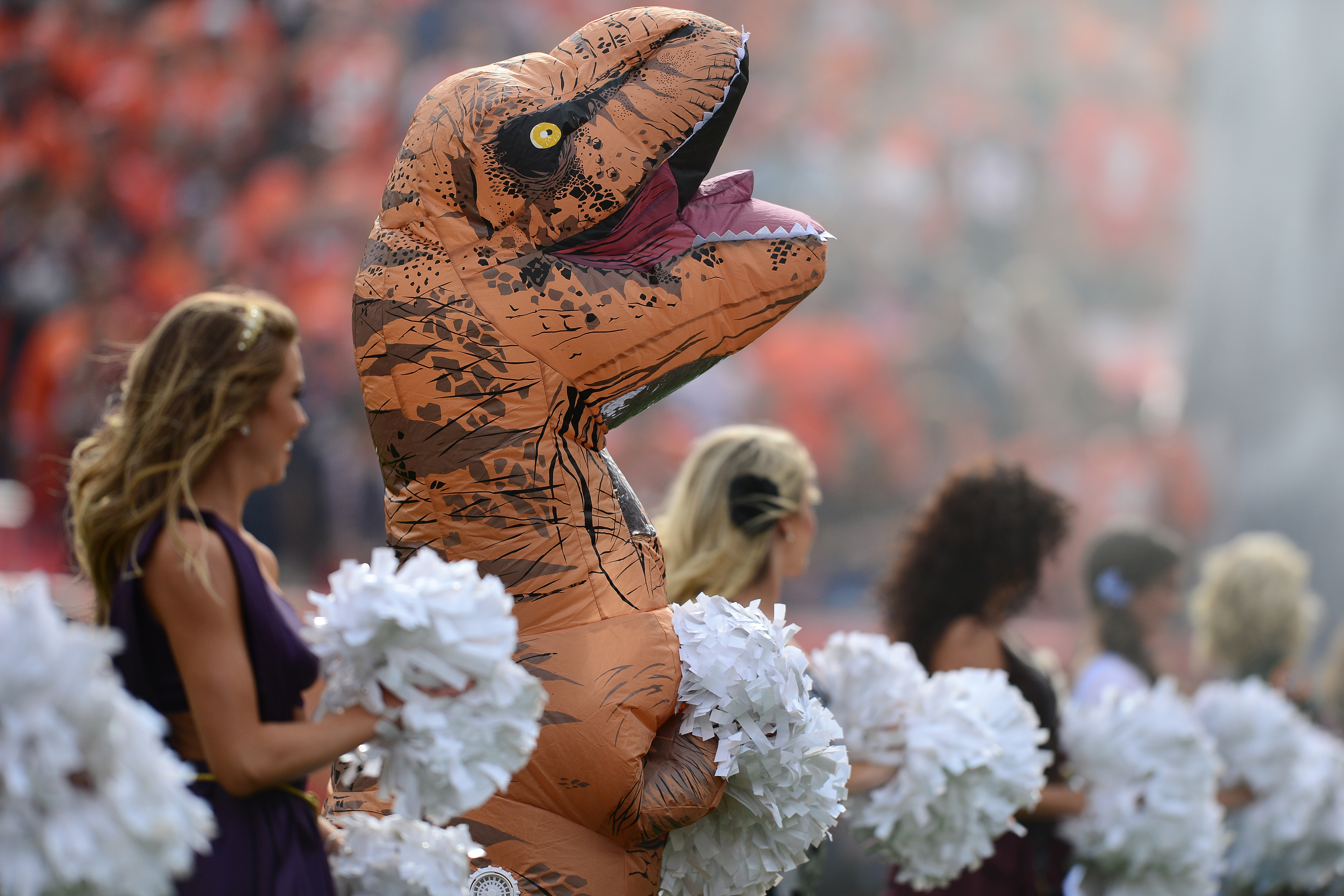 A Denver Broncos cheerleader in a dinosaur costume before the game against ...