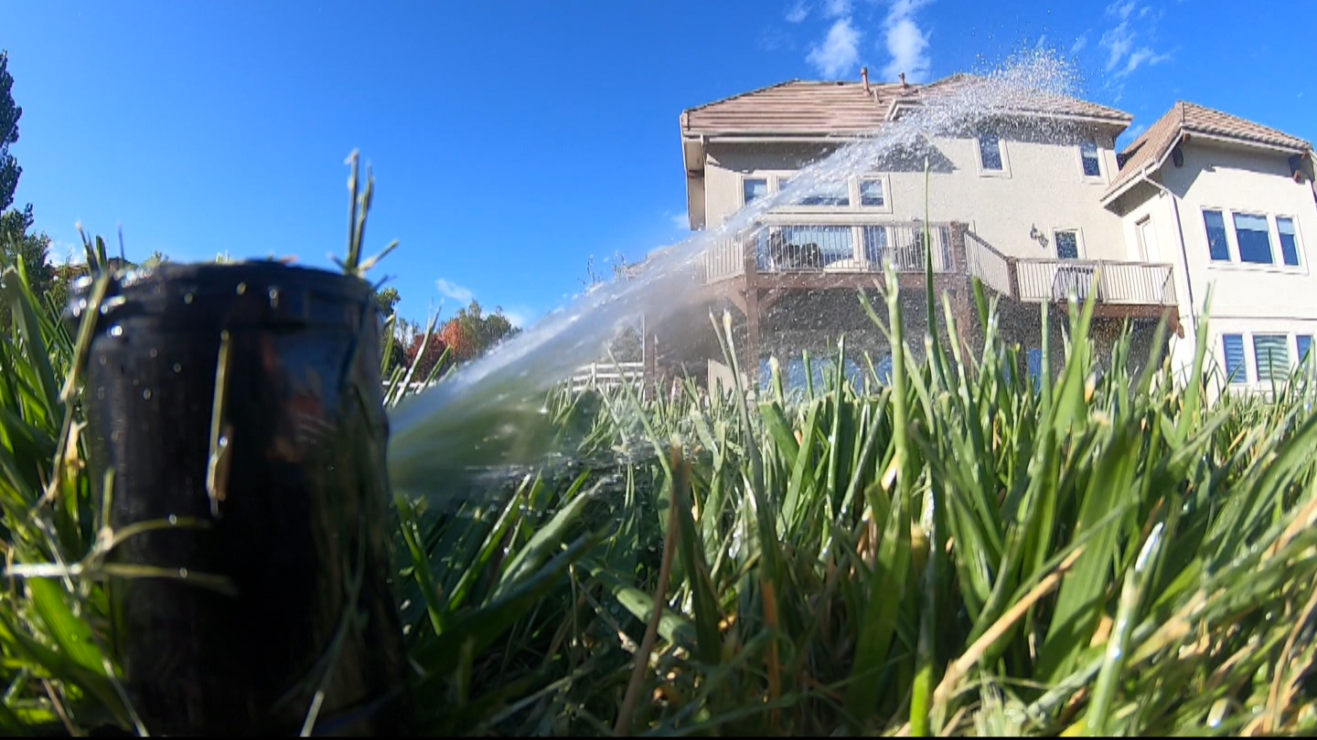 Denver Water: ‘Slow Jam’ Summer Watering Rules Go Into Effect May 1 - CBS Denver