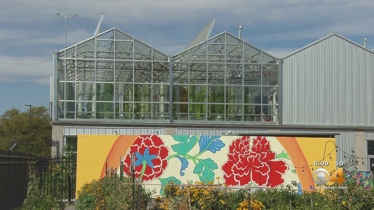 S*Park, an urban greenhouse in downtown Denver, promotes sustainable food year-round.