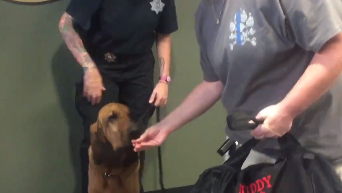 Kristen Miller shares gifts with the K9 unit of the Jefferson County Sheriff's Office. (credit: Jefferson County)