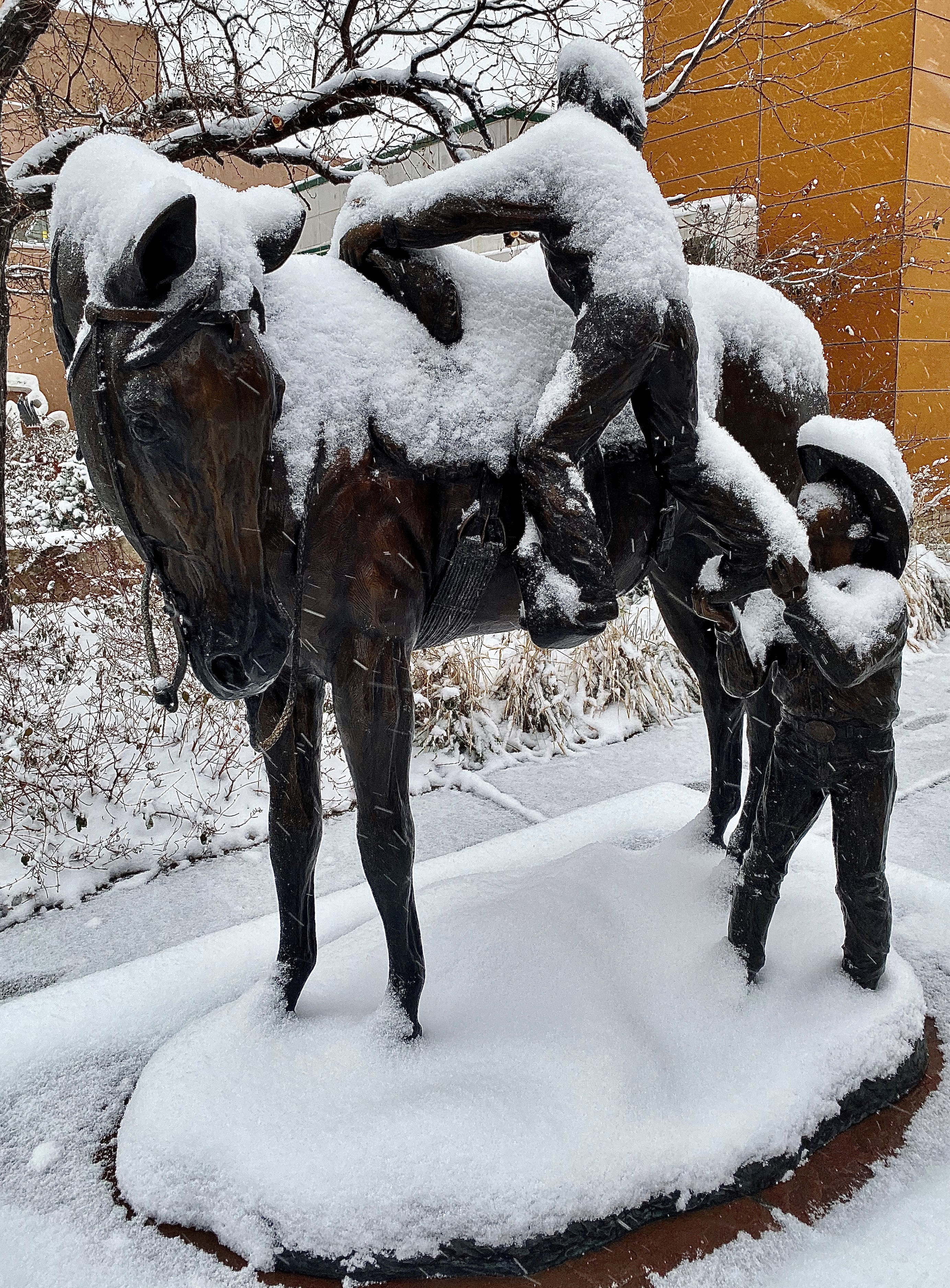 Eddie Castro took this photo in Golden on Nov. 11, 2019, on Monday morning in the snow in Denver.