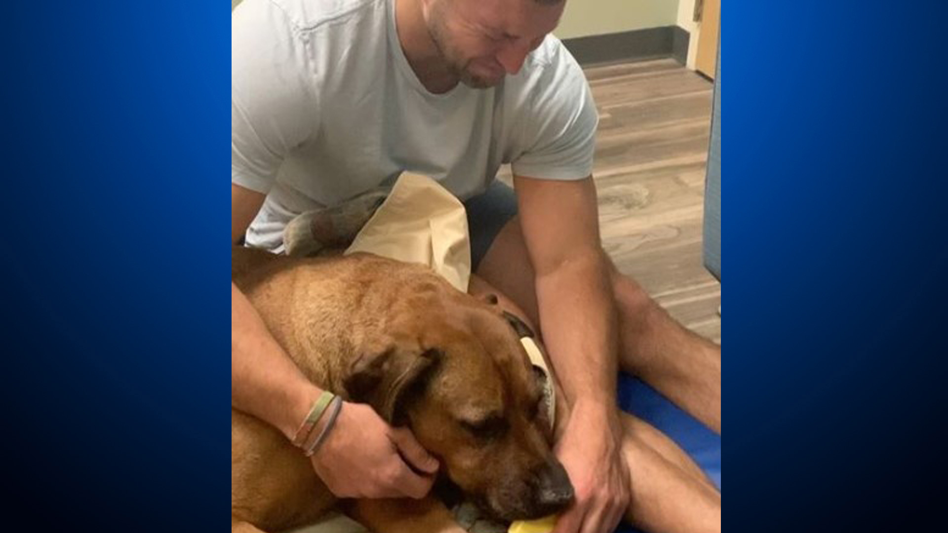Tim Tebow Posts Video Of Heartbreaking Goodbye To His Dog ‘Bronco’