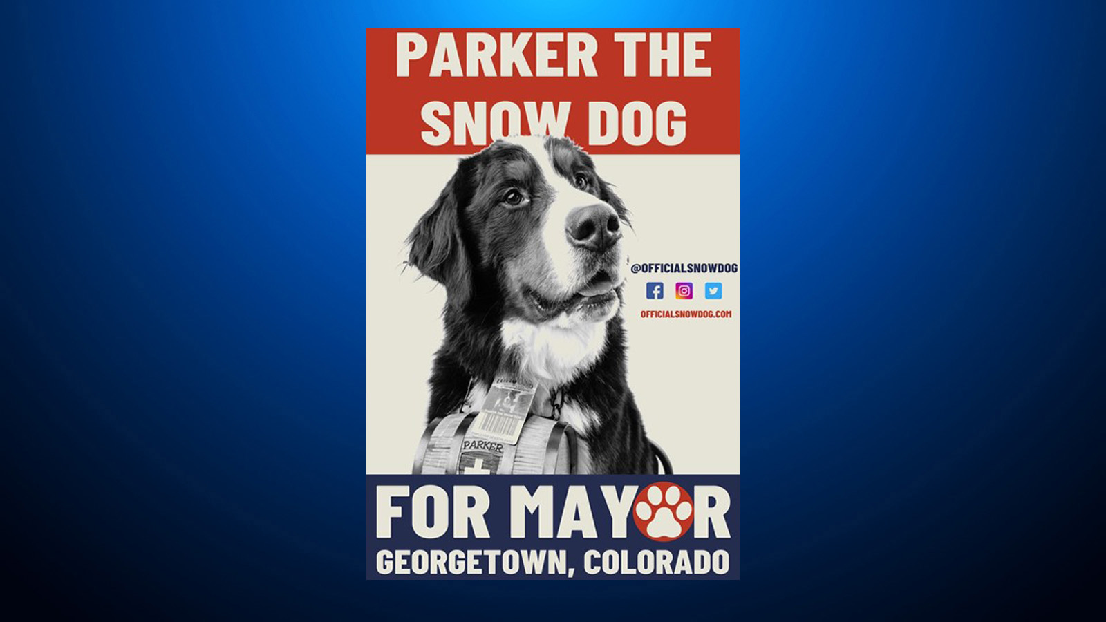 Parker The Snow Dog Named Honorary Mayor Of