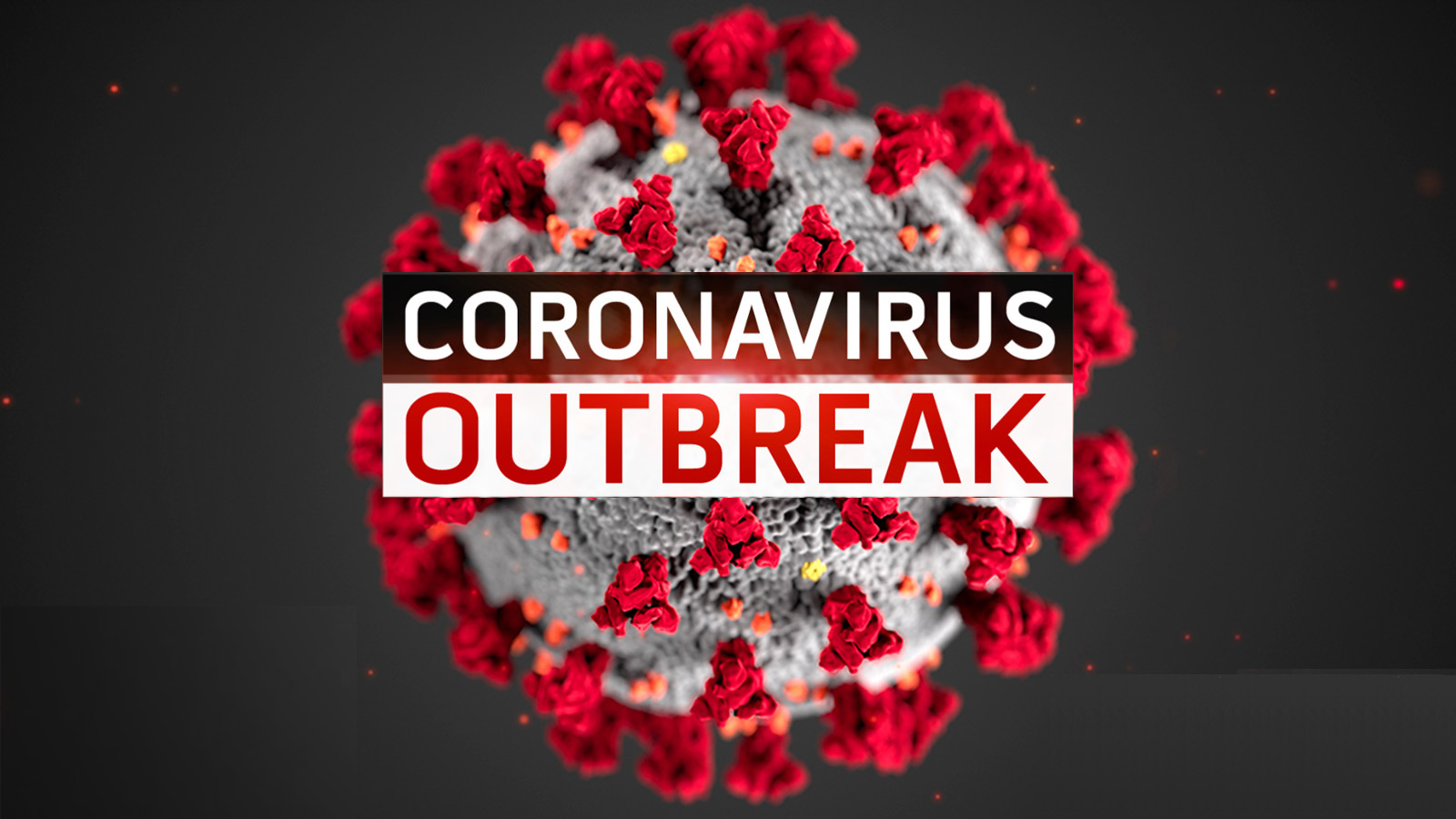 Colorado Reports 1 430 Coronavirus Cases 24 Deaths Across The