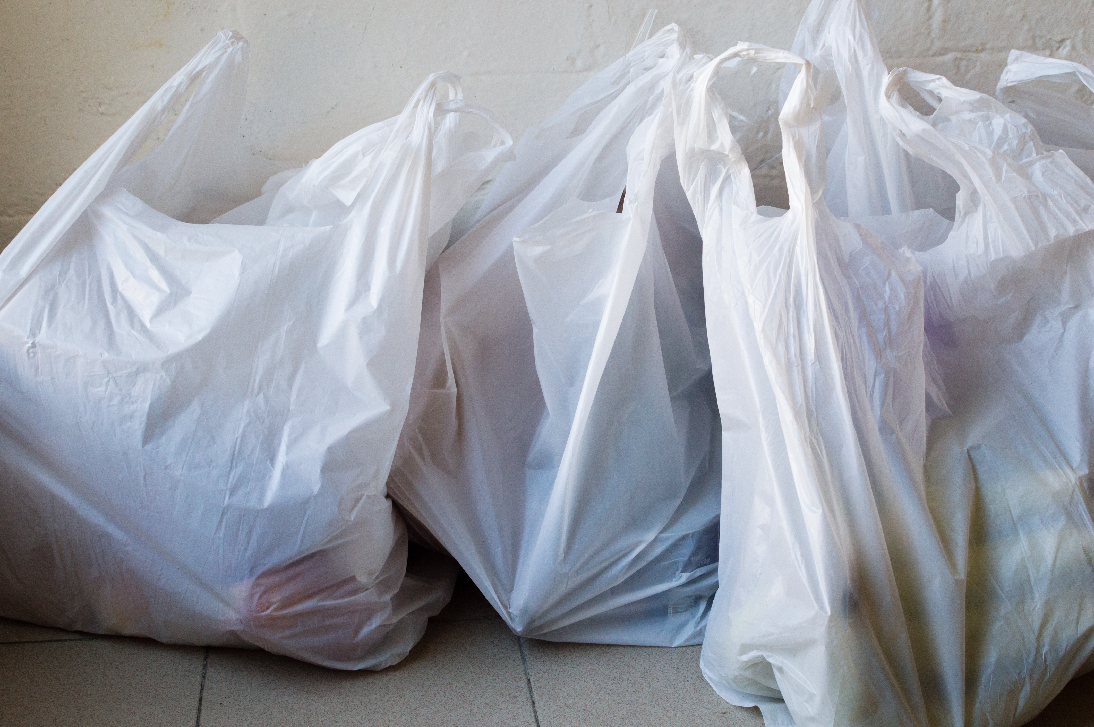 Fort Collins Banning SingleUse Plastic Bags At Large