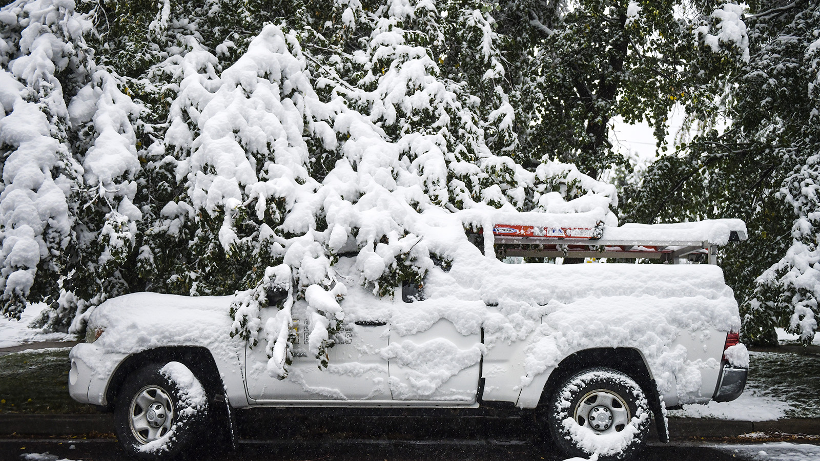 Downed tree branches cover a truck on Wednesday in Boulder