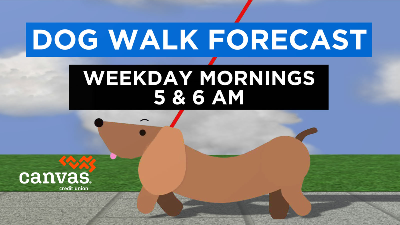 CBS4 Dog Walk Forecast