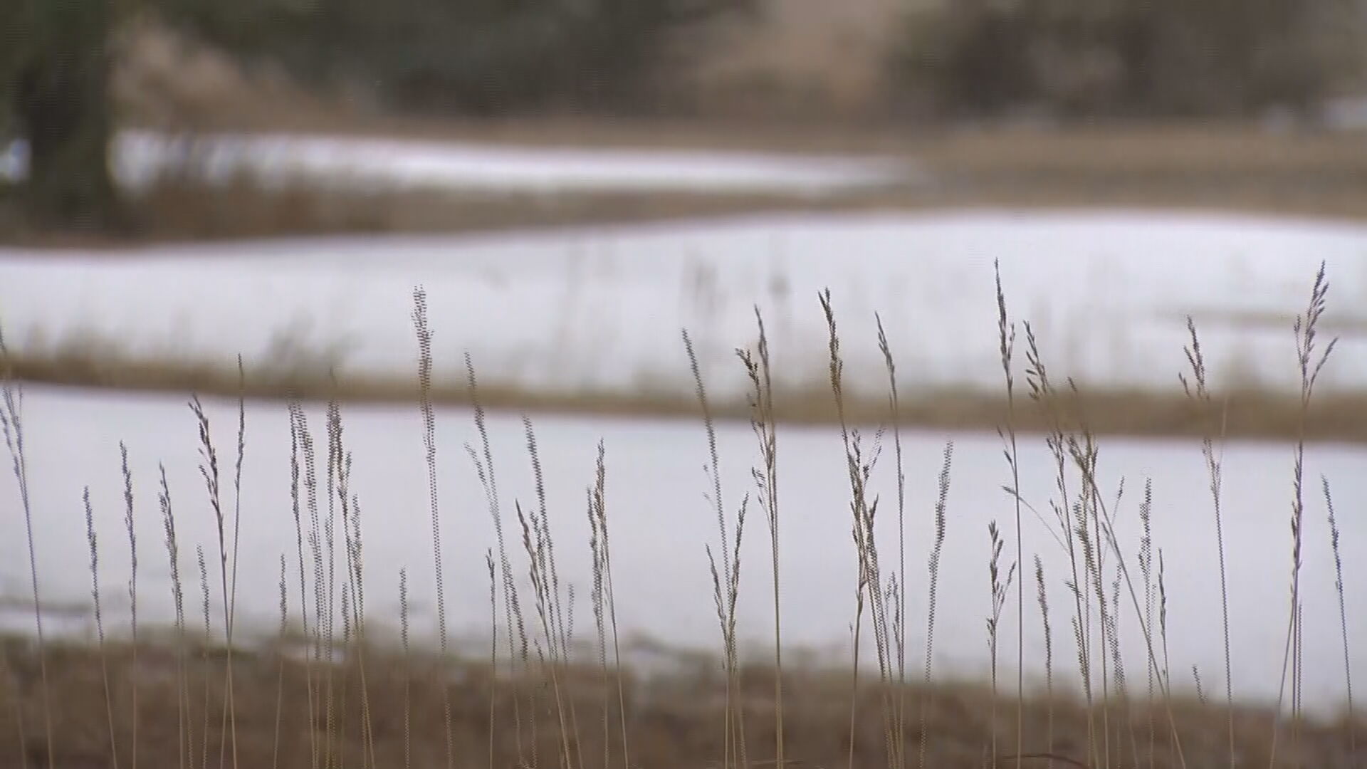 Snow, Rain A Welcome Sight In Colorado But Drought Still A Big Problem - CBS Denver
