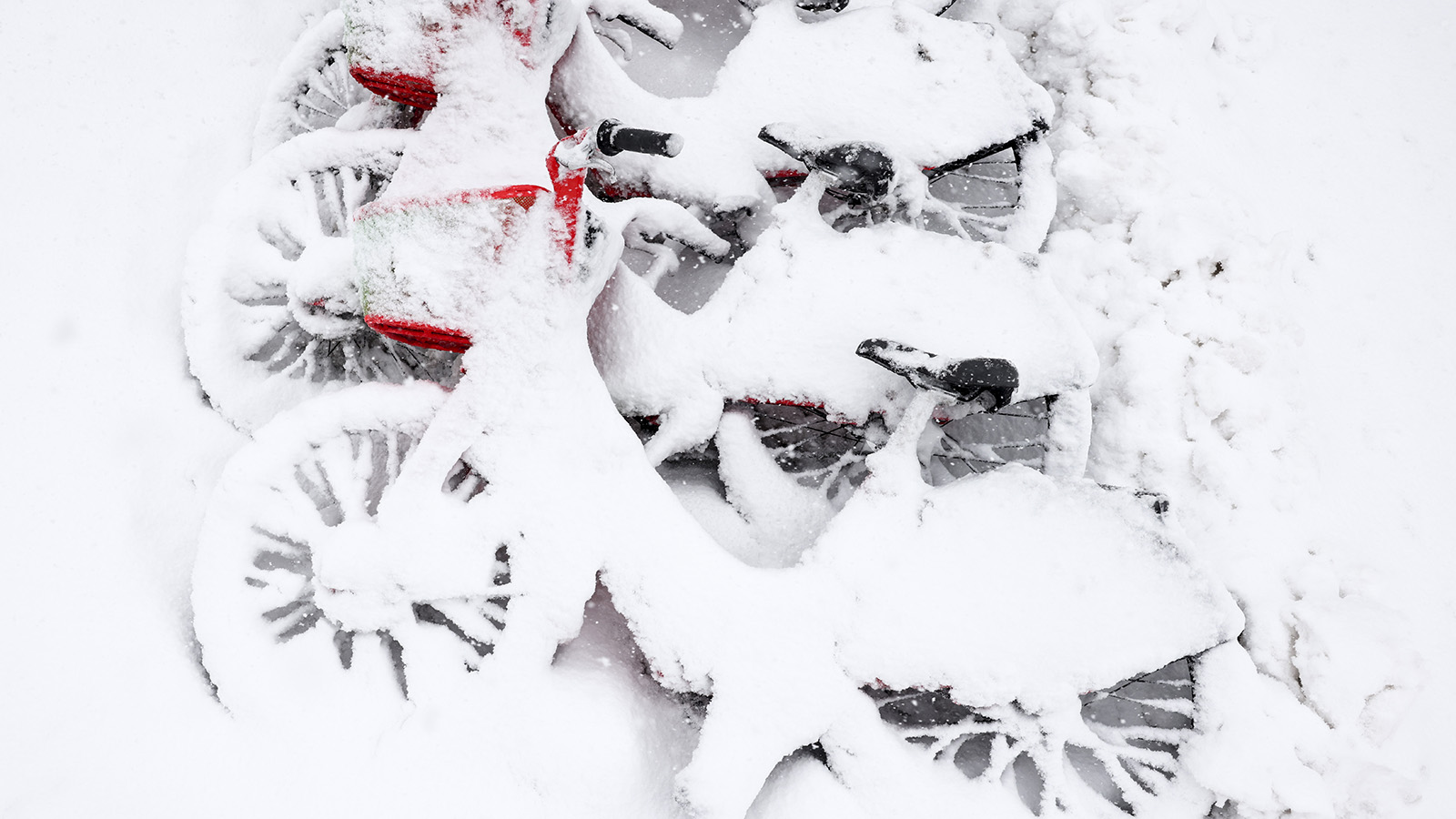Bicycles sit covered in snow on March 14, 2021 in Denver.